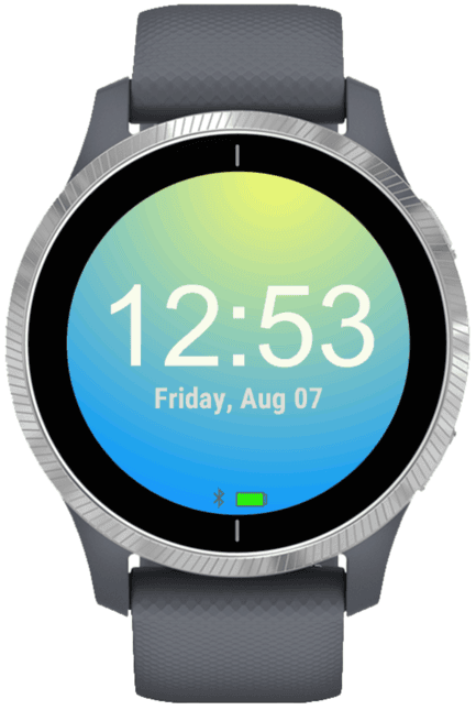 Garmin Intro Watch